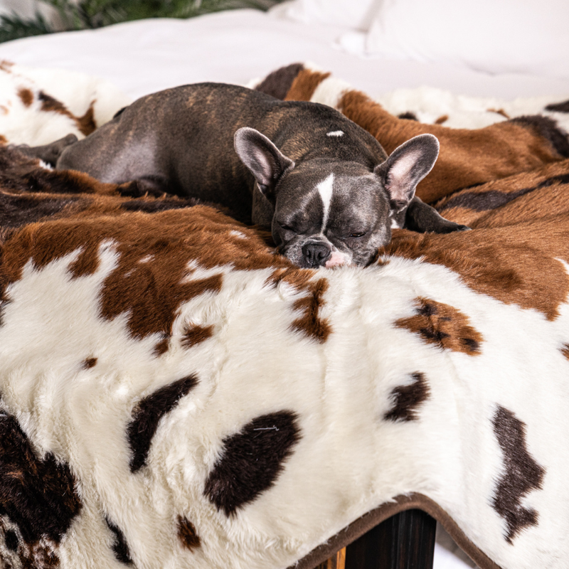 Load image into Gallery viewer, PupProtector™ Waterproof Throw Blanket - Brown Faux Cowhide