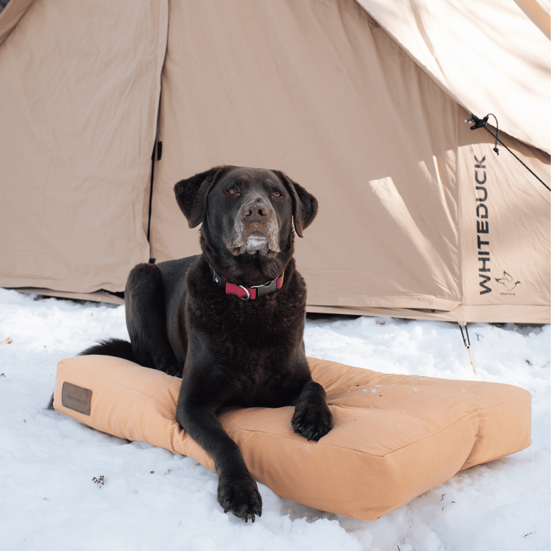 Load image into Gallery viewer, Dog Bed