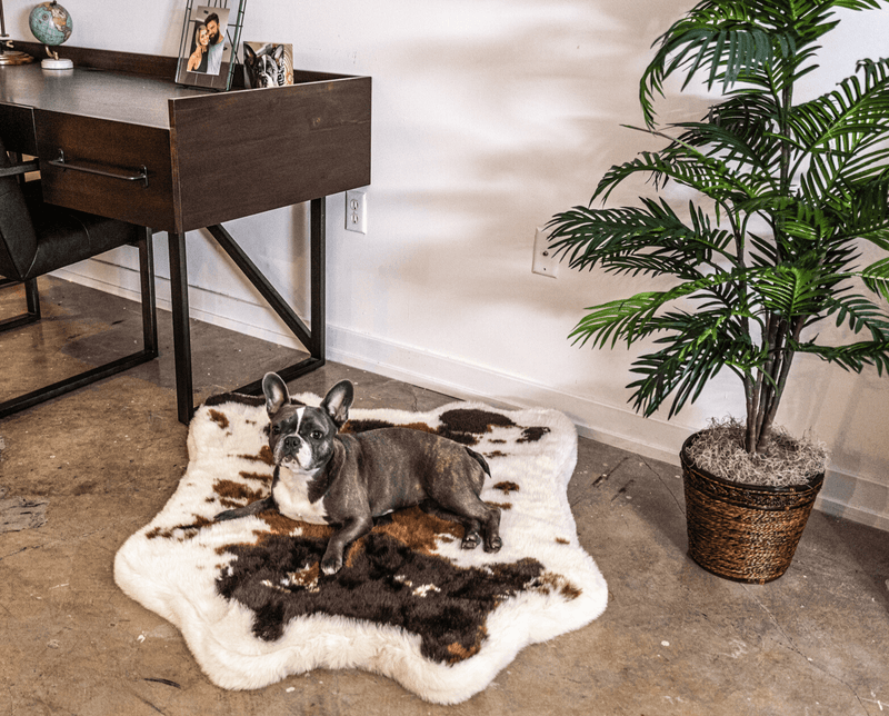 Load image into Gallery viewer, PupRug® Animal Print Memory Foam Dog Bed - Brown Faux Cowhide