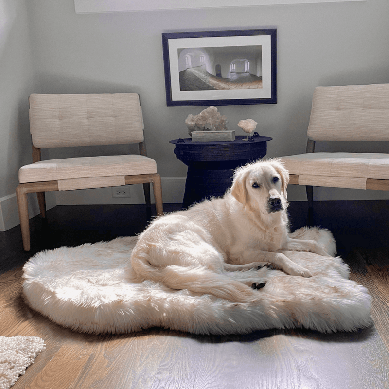 Load image into Gallery viewer, PupRug by Paw.com® Faux Fur Orthopedic Dog Bed - Curve White with Brown Accents