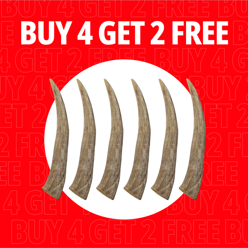 Load image into Gallery viewer, Large Antlers