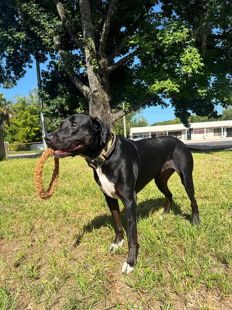 Load image into Gallery viewer, Coconut Rope Ring