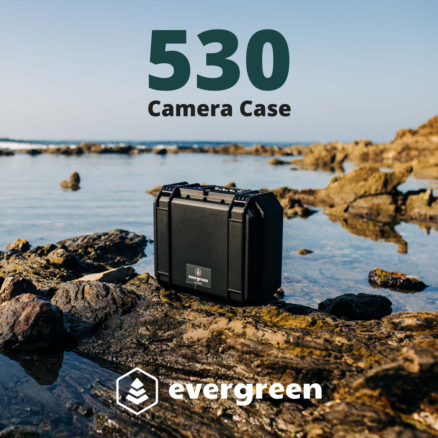 Seahorse 530