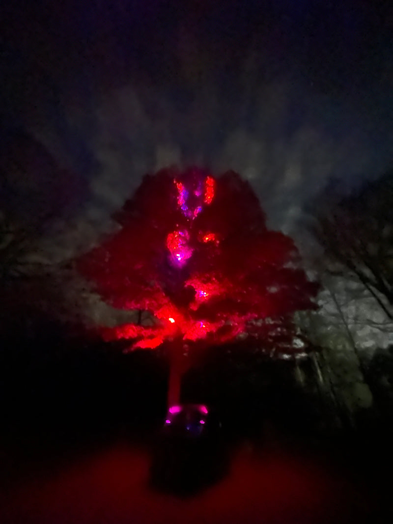 Load image into Gallery viewer, Marshin Whips: RGB Lunar Laser Light Kit