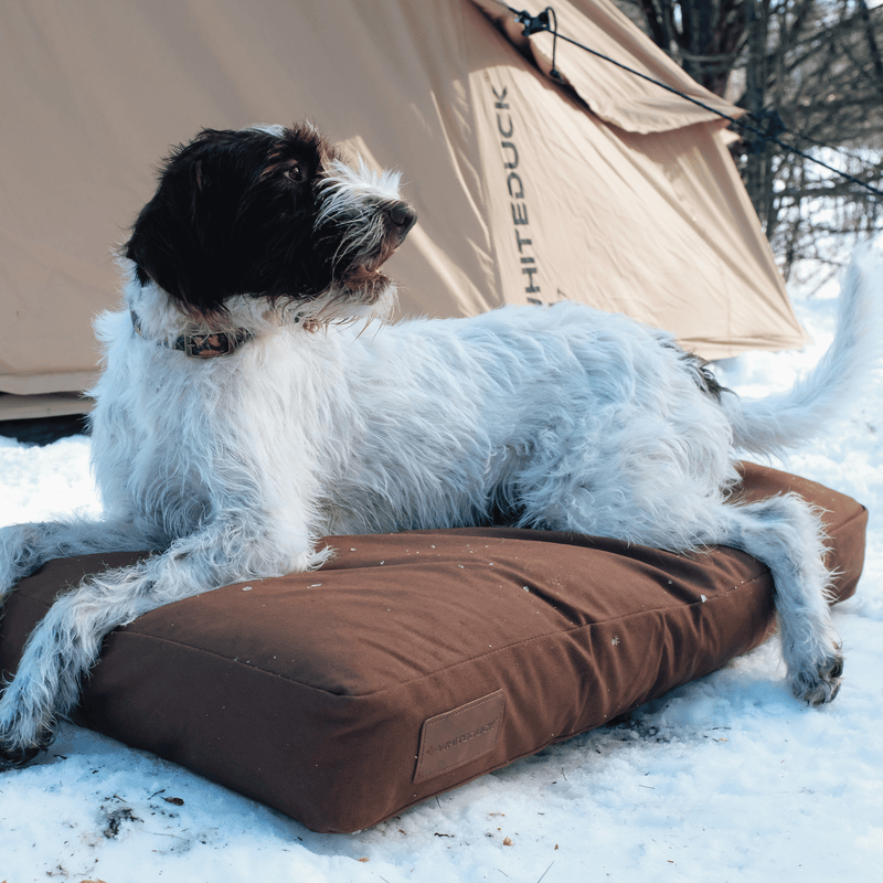 Load image into Gallery viewer, Dog Bed
