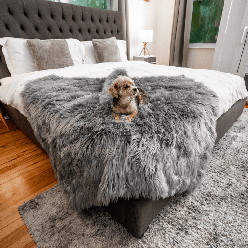 Load image into Gallery viewer, PupProtector™ Waterproof Throw Blanket - Charcoal Grey