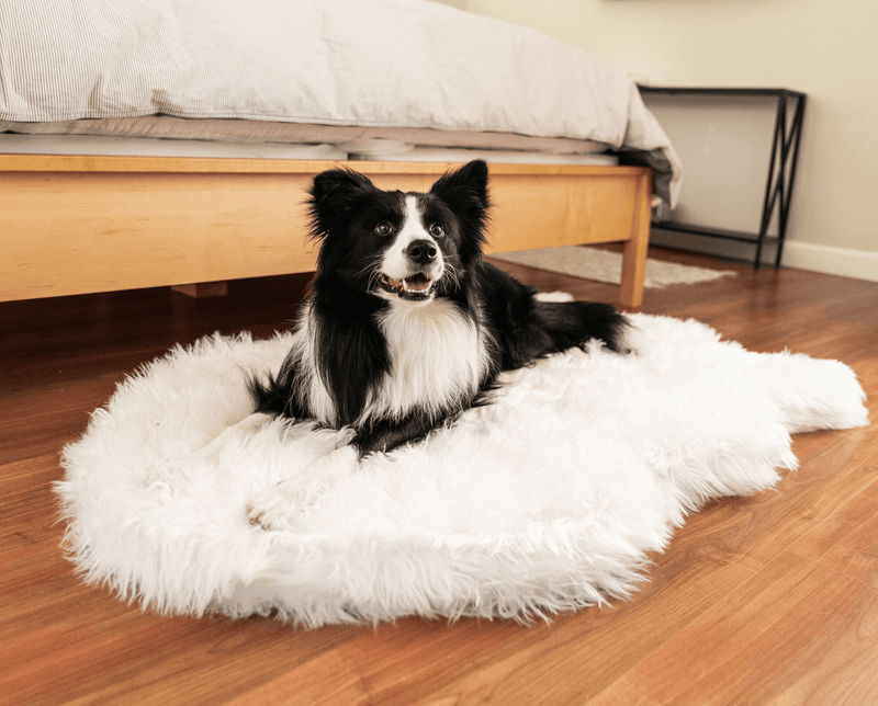 Load image into Gallery viewer, PupRug by Paw.com® Faux Fur Orthopedic Dog Bed - Curve Polar White