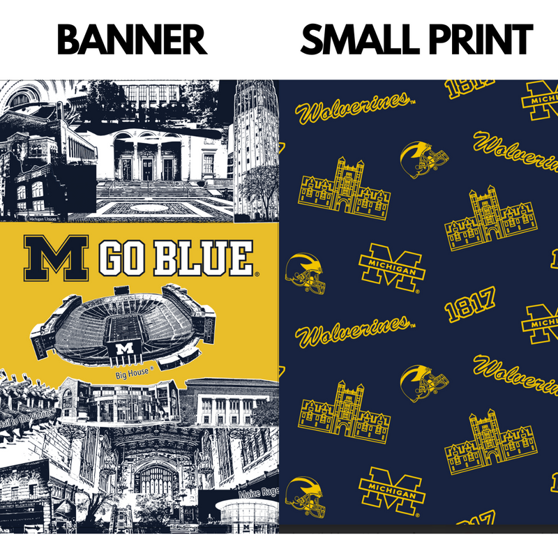 Load image into Gallery viewer, University of Michigan Backpack Cooler