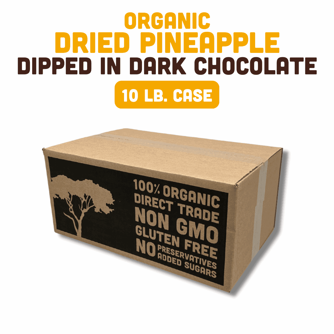Organic Dried Pineapple Dipped in Dark Chocolate - Skoutley Outdoors LLC