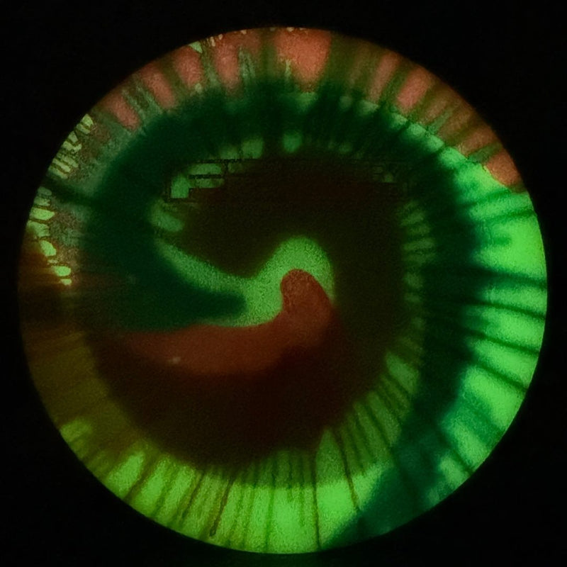 Load image into Gallery viewer, I-Dye Glow Champion Dominator - F2