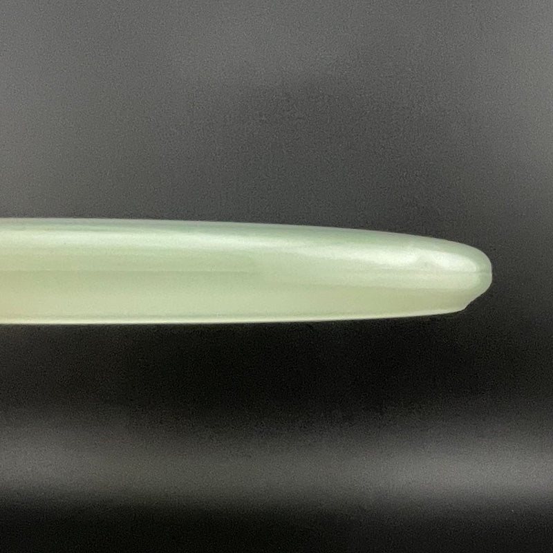 Load image into Gallery viewer, Nocturnal Pickle