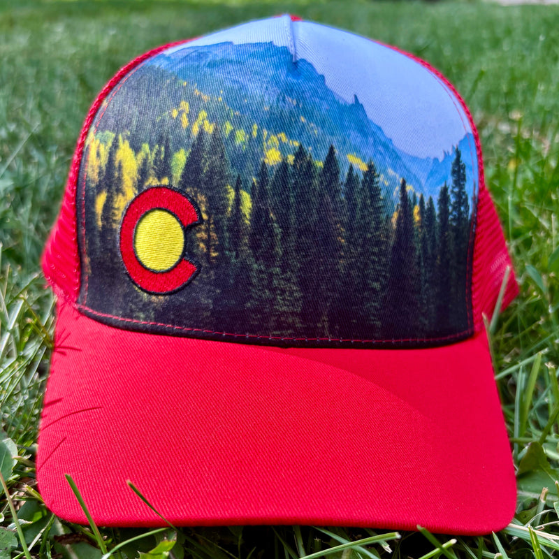 Load image into Gallery viewer, Aspen Forest Snapback Trucker Hat