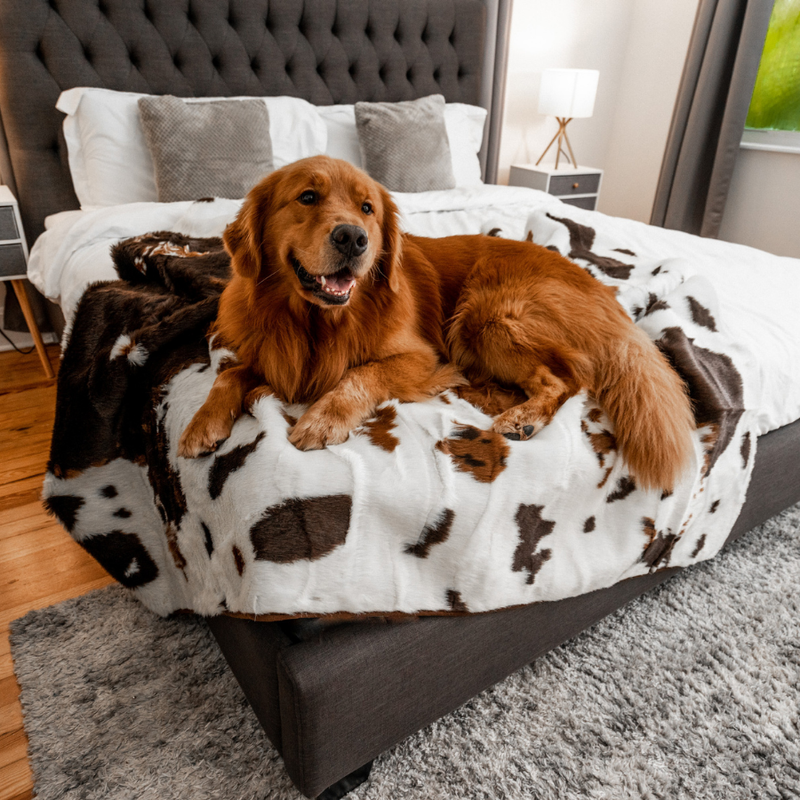 Load image into Gallery viewer, PupProtector™ Waterproof Throw Blanket - Brown Faux Cowhide