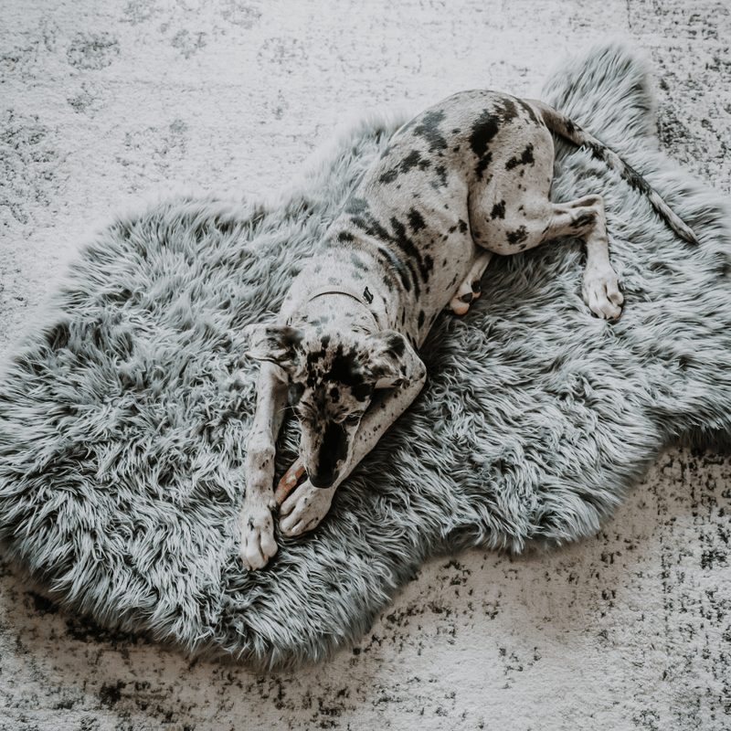 Load image into Gallery viewer, PupRug by Paw.com® Faux Fur Orthopedic Dog Bed - Curve Charcoal Grey