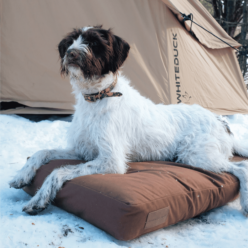 Load image into Gallery viewer, Dog Bed