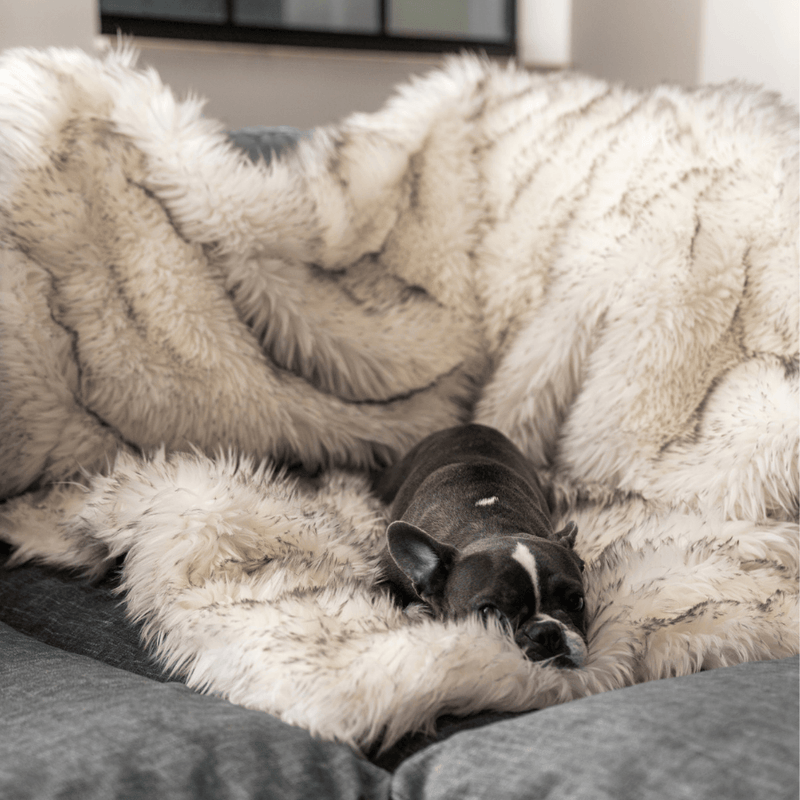 Load image into Gallery viewer, PupProtector™ Waterproof Throw Blanket - White with Brown Accents