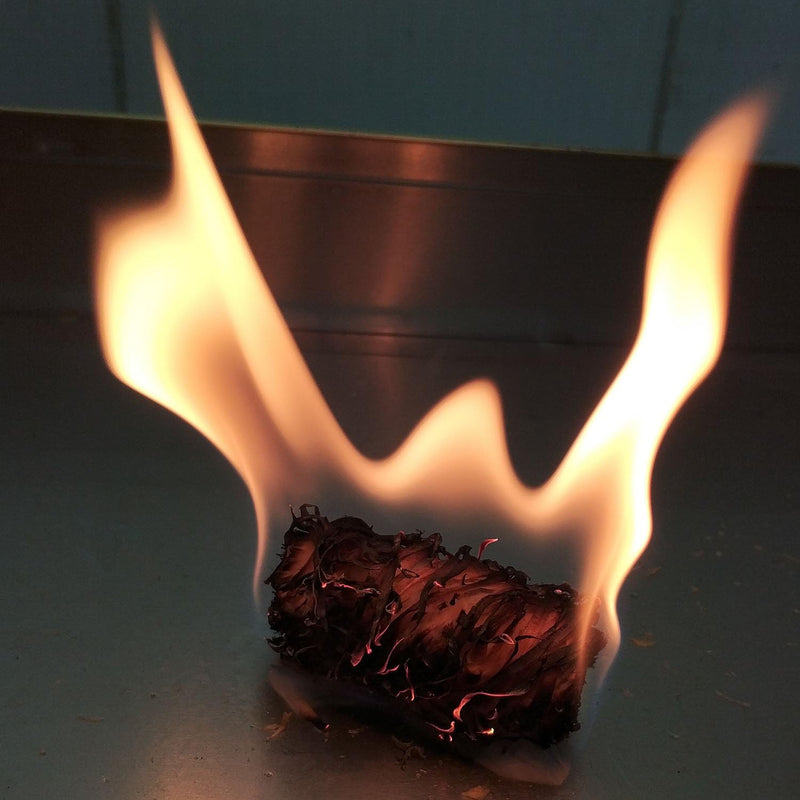 Load image into Gallery viewer, Easy Peasy Fire Starter - All Natural Pine Wax Fire Starter