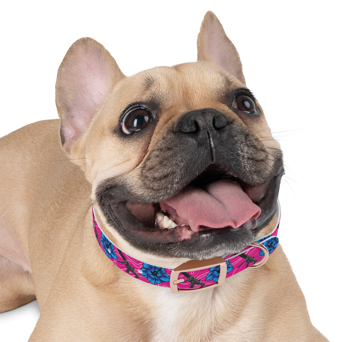 Rad Palm High Capacity Hibiscus Dog Collar