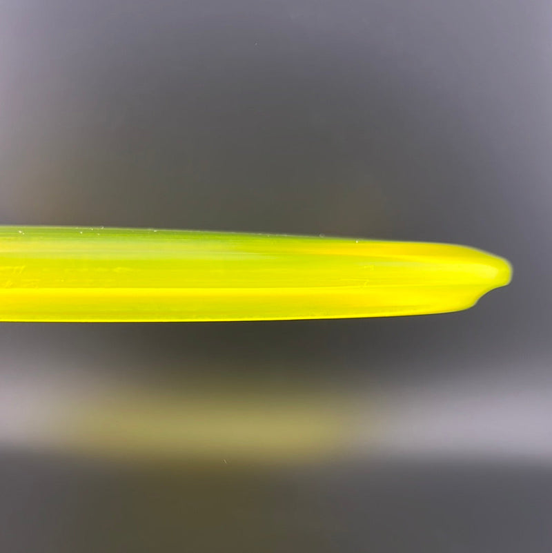Load image into Gallery viewer, Gummy Champion Roc (Penned) - Japan Open Est. 2004 - 150 Class by Tom Hamilton