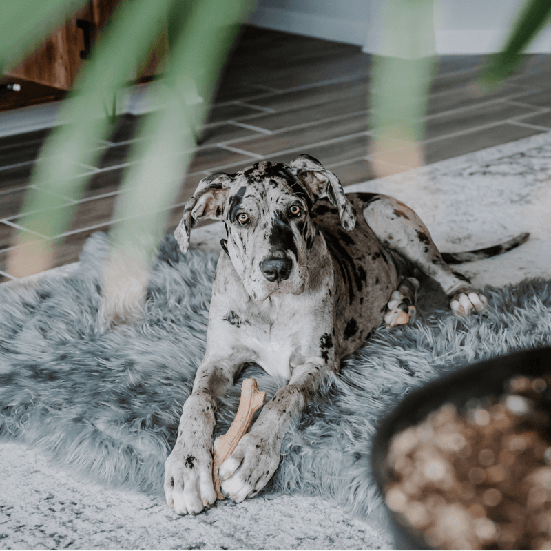 Load image into Gallery viewer, PupRug by Paw.com® Faux Fur Orthopedic Dog Bed - Curve Charcoal Grey