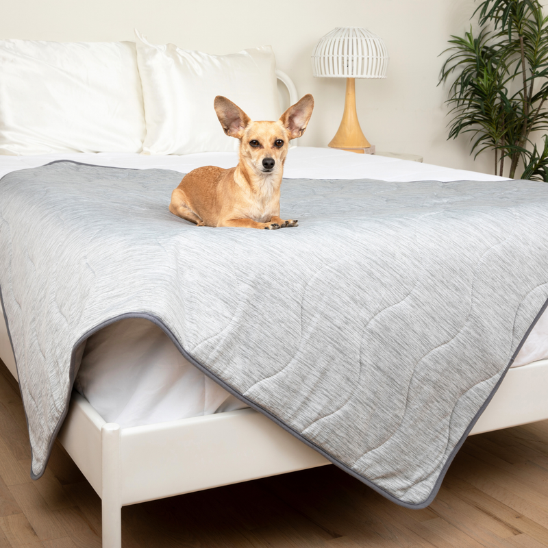 Load image into Gallery viewer, PupChill™ Cooling Waterproof Blanket - Arctic Grey