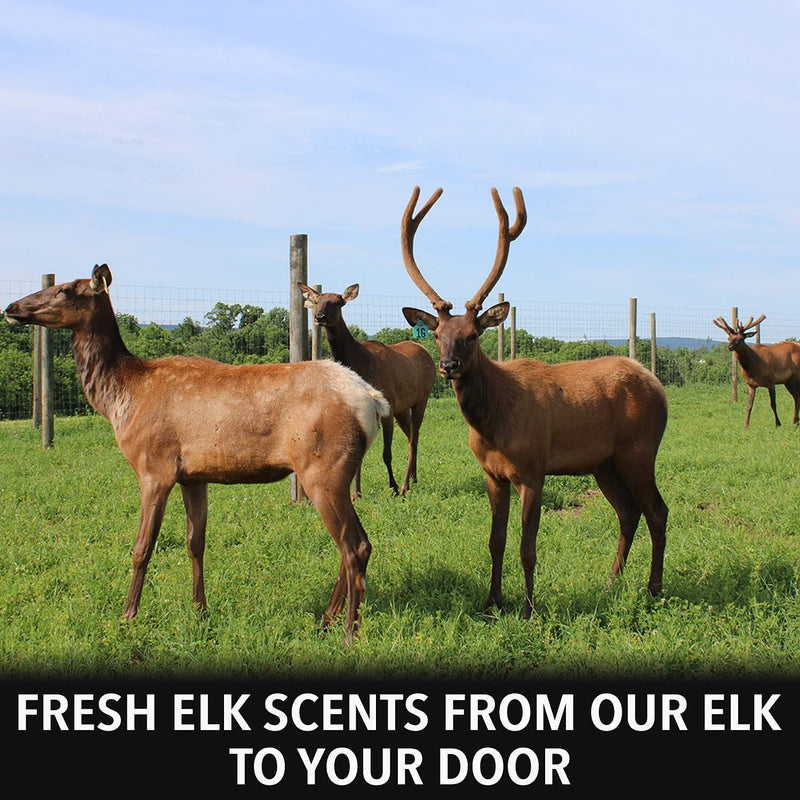 Load image into Gallery viewer, Elk Urine