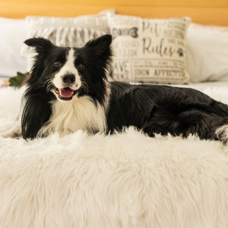 Load image into Gallery viewer, PupProtector™ Waterproof Throw Blanket - Polar White