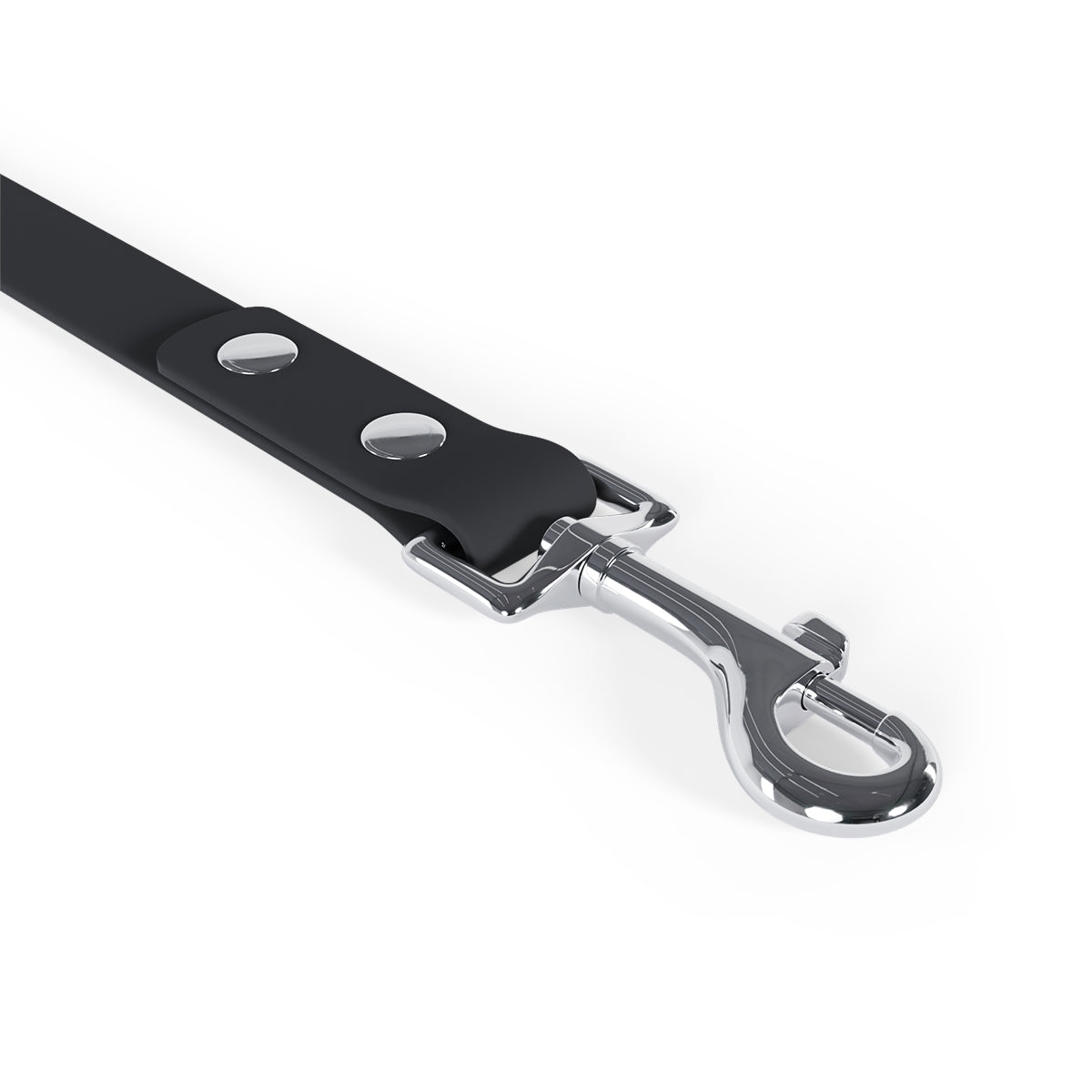 Rad Palm High Capacity Hibiscus Dog Leash