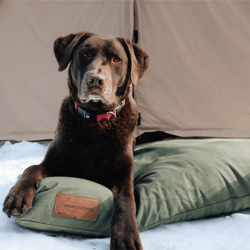 Load image into Gallery viewer, Dog Bed