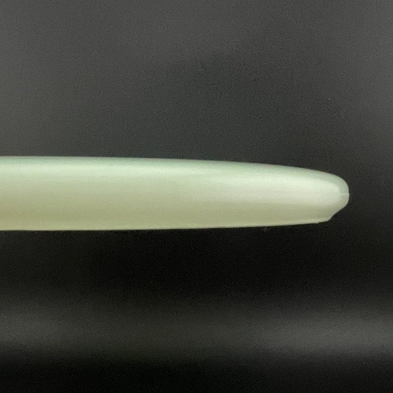 Load image into Gallery viewer, Nocturnal Pickle