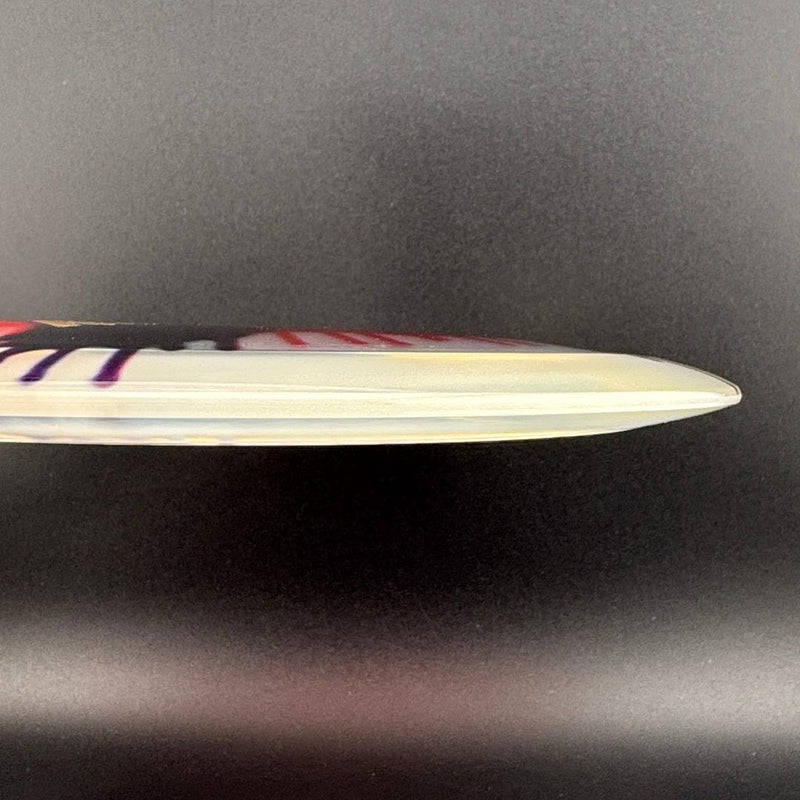 Load image into Gallery viewer, I-Dye Champion Roadrunner