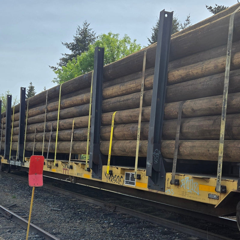 Load image into Gallery viewer, AAR Webbing 4"x 30 Ft Heavy Duty Ratchet Strap w/ Flat Hook | R430FAAR