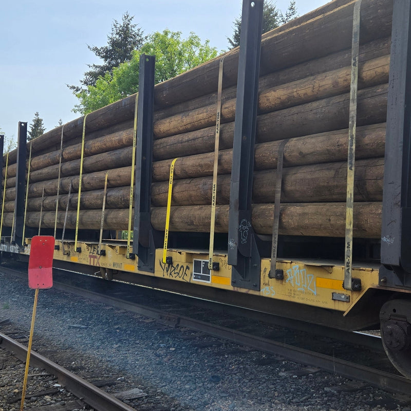 Load image into Gallery viewer, AAR Webbing 4"x 30 Ft Heavy Duty Ratchet Strap w/ Flat Hook | R430FAAR