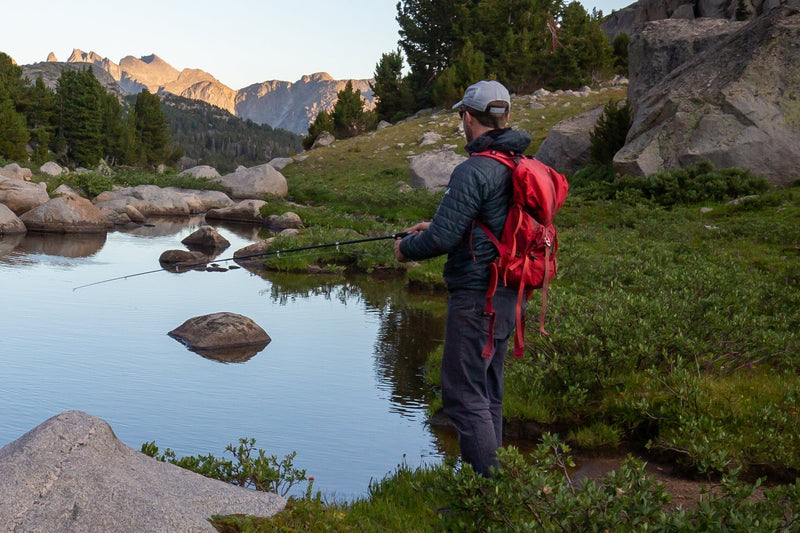 Load image into Gallery viewer, Tungsten Bead Head Nymph Fly Fishing Flies - Flashback Gold Ribbed Hare's Ear Trout Fly - Nymph Wet Fly - 6 Flies Hook Size 16