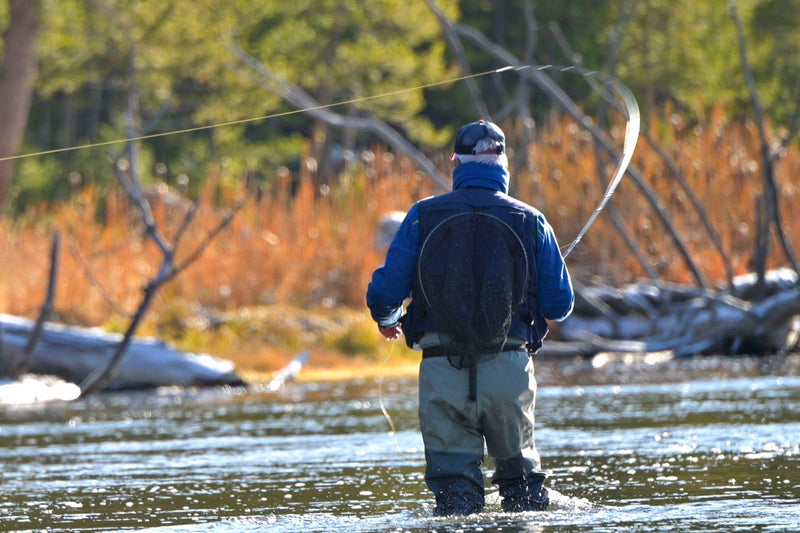 Load image into Gallery viewer, 3 Pack Adams Classic Dry Fly - Hook Size 20