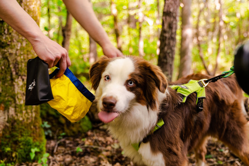 Load image into Gallery viewer, Gallatin Lightweight Collapsible Dog Bowl