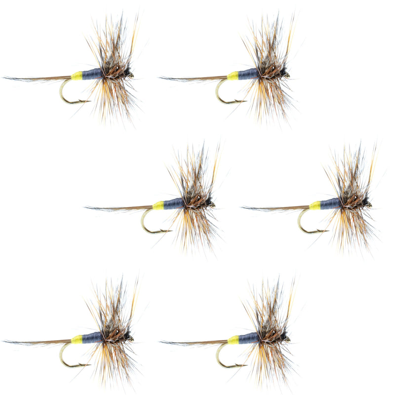 Load image into Gallery viewer, Adams Female Classic Dry Fly - 6 Flies - Hook Size 12