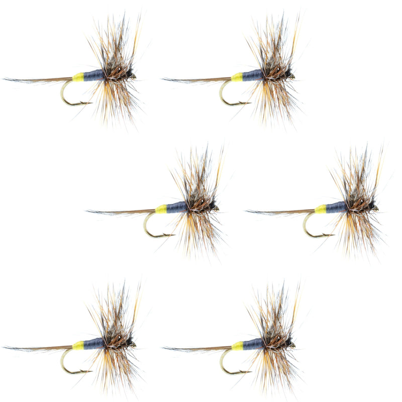 Load image into Gallery viewer, Adams Female Classic Dry Fly - 6 Flies - Hook Size 16