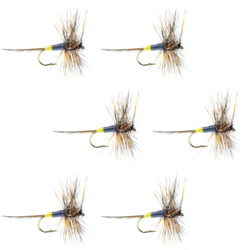 Load image into Gallery viewer, Adams Female Classic Dry Fly - 6 Flies - Hook Size 14
