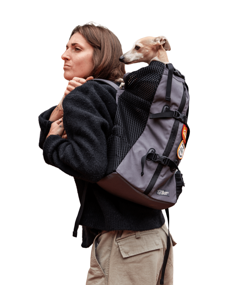 Load image into Gallery viewer, Air | The Original Backpack Dog Carrier