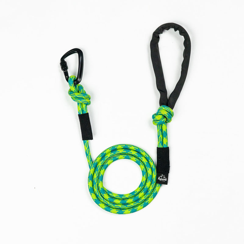 Load image into Gallery viewer, 10MM Adventure Kernmantle Rope Dog Leash