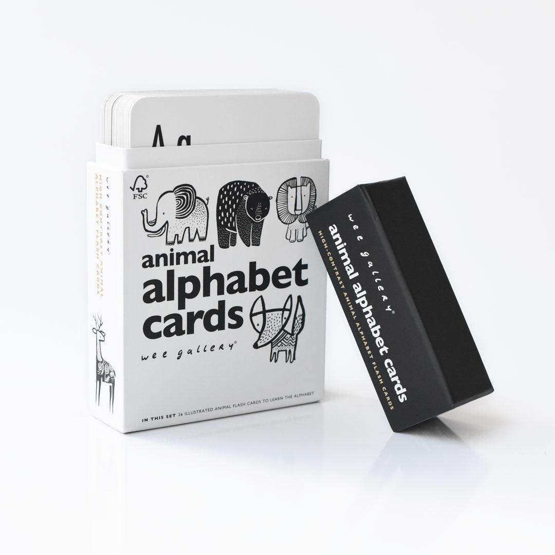 Alphabet Adventure Bundle - Skoutley Outdoors LLC