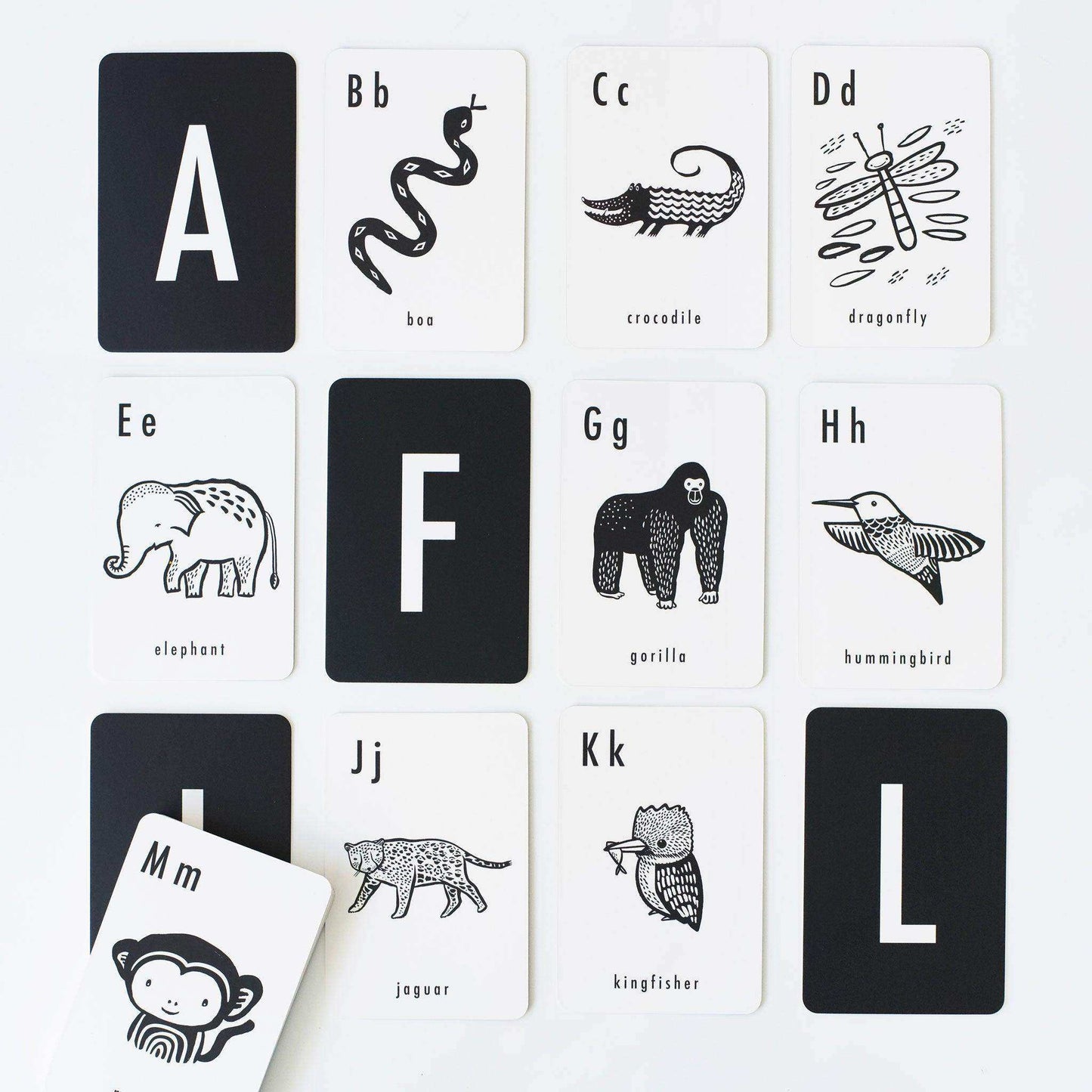 Jungle Alphabet Cards - Skoutley Outdoors LLC