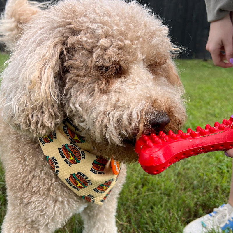 Load image into Gallery viewer, Arlo's Favorite Rubber Bone