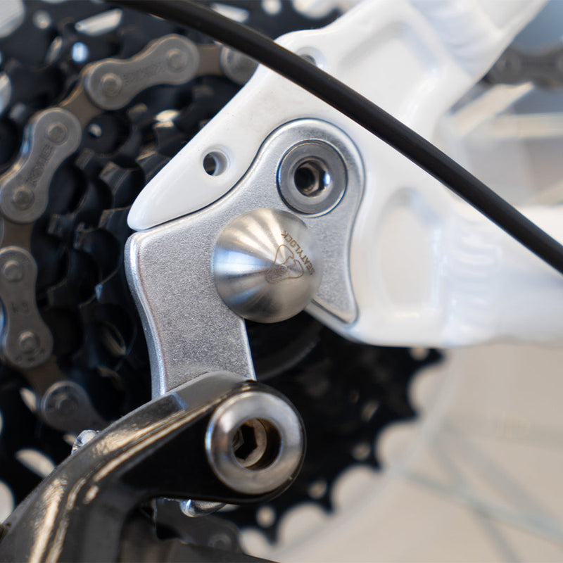 Load image into Gallery viewer, Axle Bolts