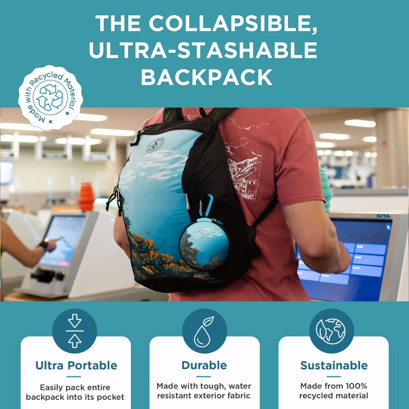 Load image into Gallery viewer, Collapsible Backpack