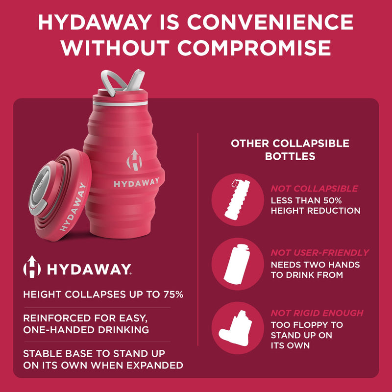 Load image into Gallery viewer, Collapsible Water Bottle | 17oz