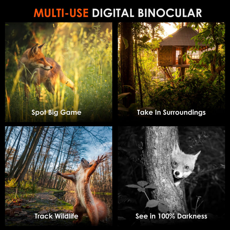 Load image into Gallery viewer, Rexing B1 Pro – 4K IR Night Vision Digital Binocular