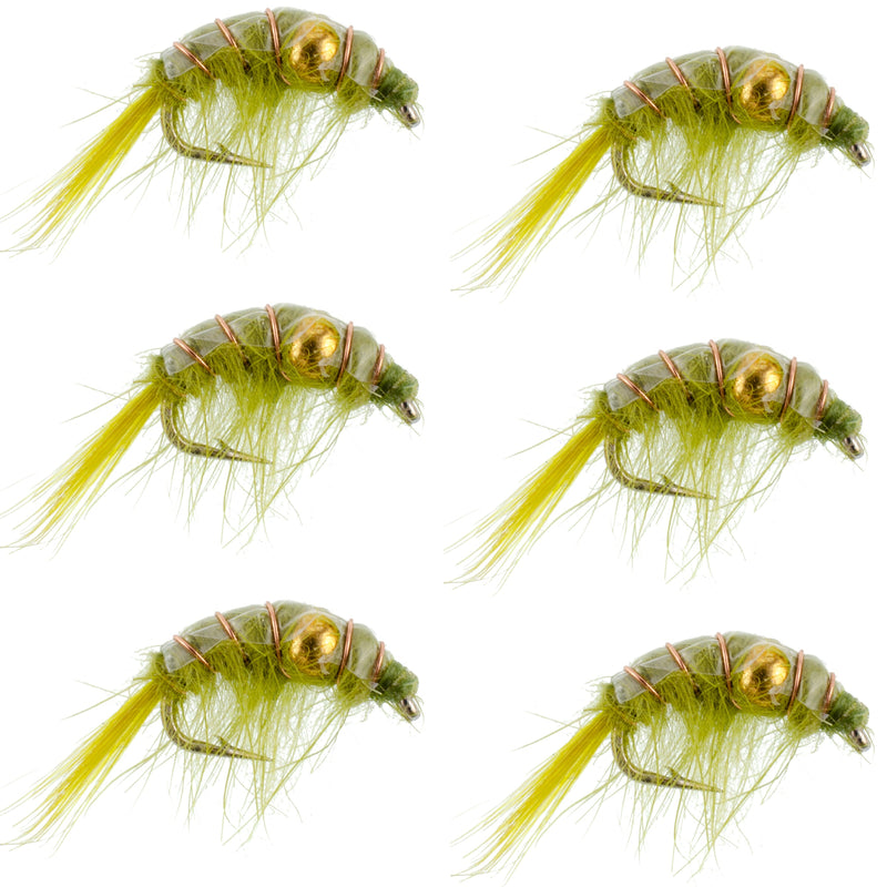 Load image into Gallery viewer, Olive Beaded Shrimp Scud Pattern - 6 Flies - Size 12 - Tailwater Lake Fly Fishing Nymph
