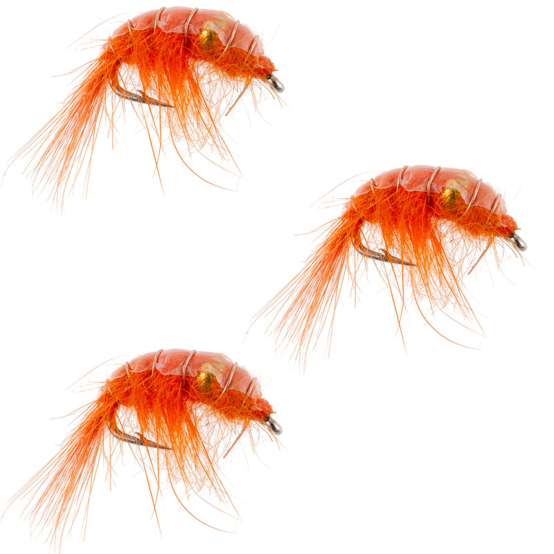 Load image into Gallery viewer, 3 Pack Orange Beaded Shrimp Scud Pattern - Size 12 - Tailwater Lake Fly Fishing Nymph
